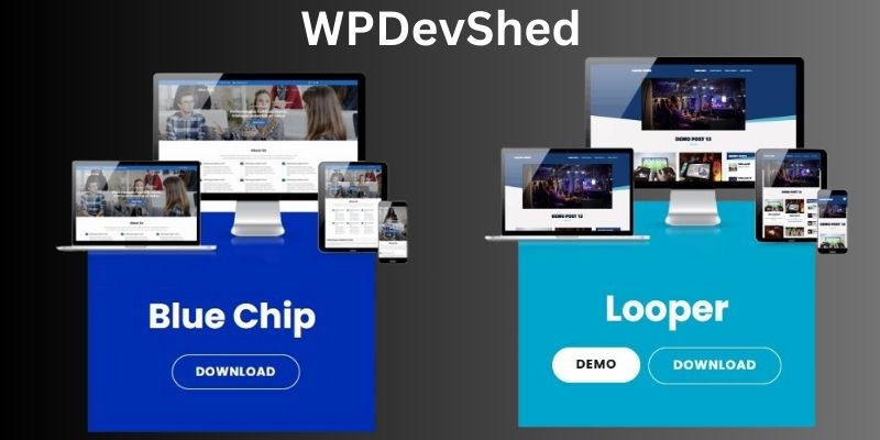 Best 10 Features of WPDevShed for WordPress Enthusiasts Features of WPDevShed